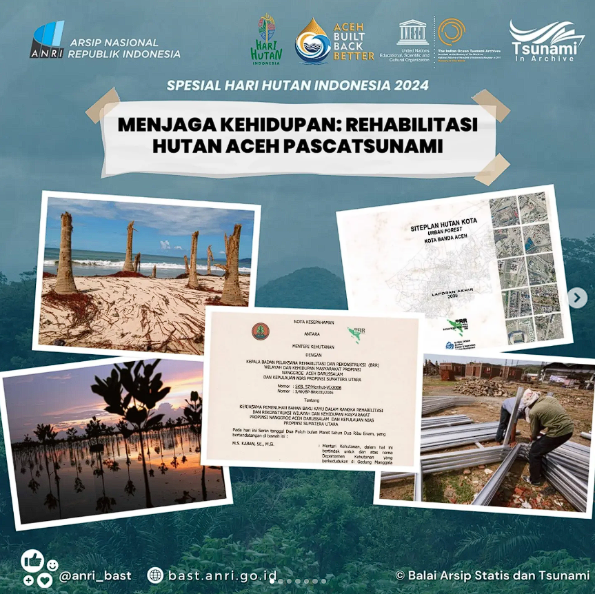 Tsunami in Archive - Spesial Hari Hutan Indonesia 2024 Menjaga Kehidupan: Rehabilitasi Hutan Aceh Pascatsunami