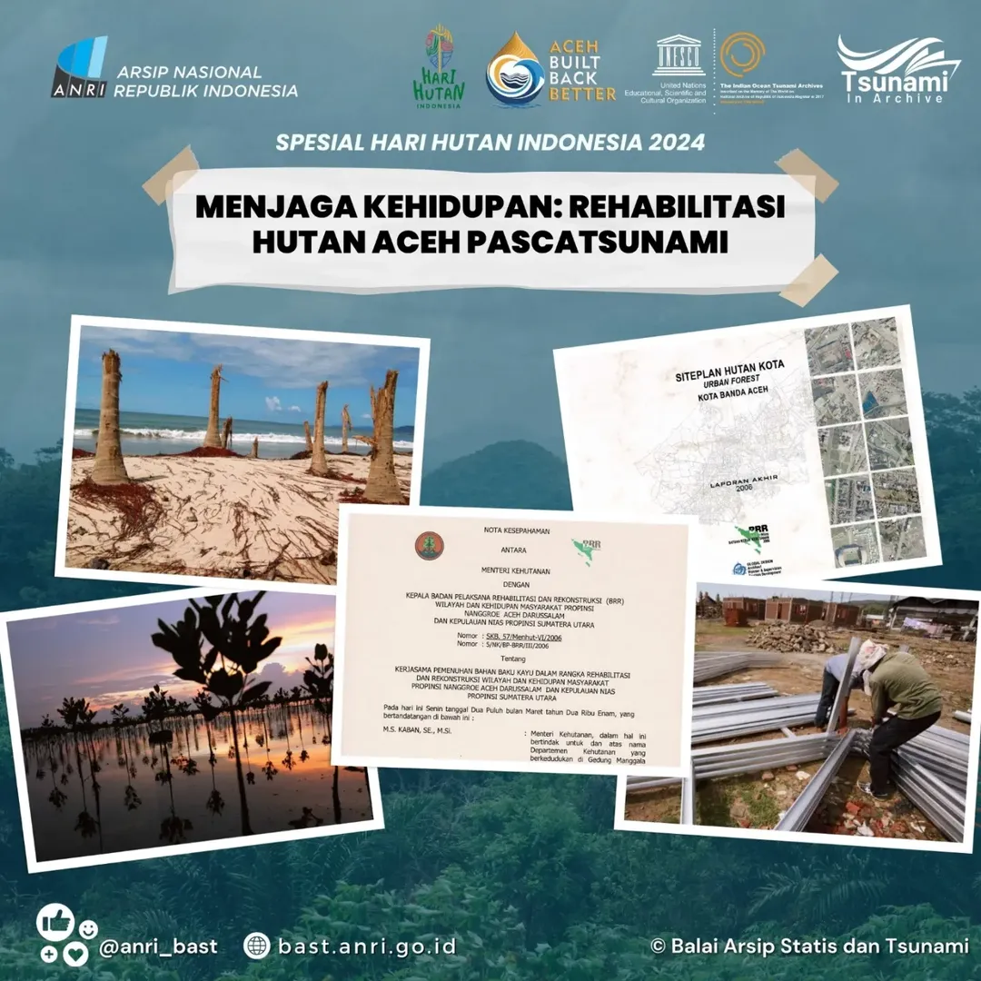 Tsunami in Archive - Spesial Hari Hutan Indonesia 2024 Menjaga Kehidupan: Rehabilitasi Hutan Aceh Pascatsunami